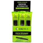 Cigtrus Aroma Inhaler Natural Quit Smoking Alternative - Spearmint - 20 Pack 1 Case