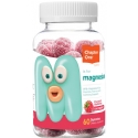 Zahlers Kosher Chapter One Magnesium Citrate 100 mg - Raspberry Flavor Gummies 60 Gummies