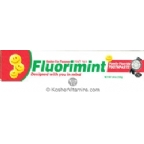 Family Fluoride Kosher Flourimint Toothpaste 5.4 OZ