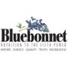Bluebonnet
